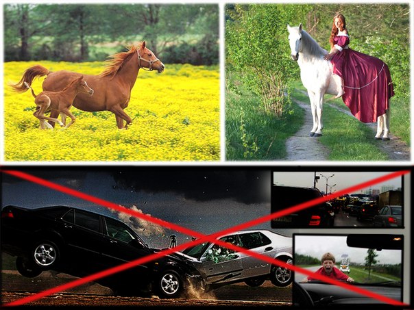 Преимущества лошади перед автомобилем