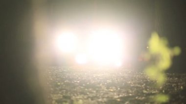 Яркий свет фары ночью в лесу — стоковое видео